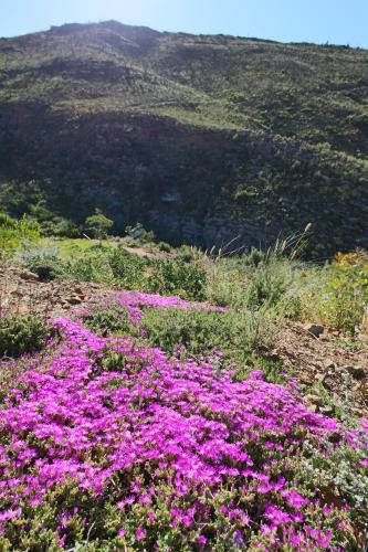 Bobbejaans Kloof Mountain Retreat