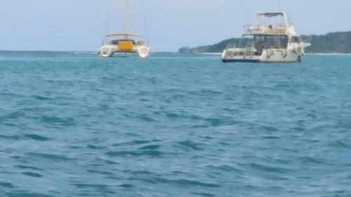 SandCastles # E26, Ocho Rios (fotografie 9)