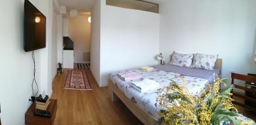 Super Central & Panoramic Nick's Apartment, Priština (fotografie 8)