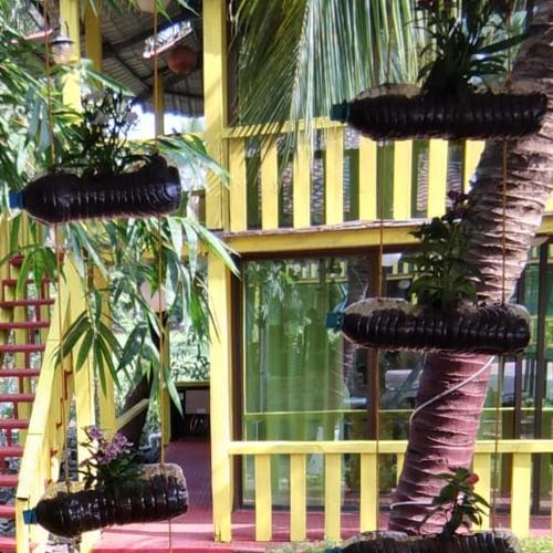 Kashid Farmstay