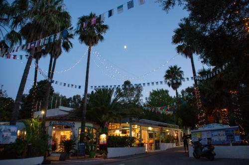 Camping de la Baie - image 13