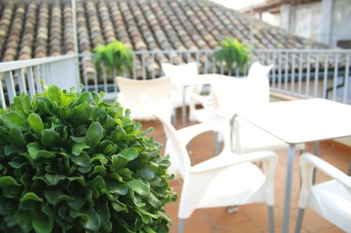 Laurel Suites Apartments, Granada (photo 11)