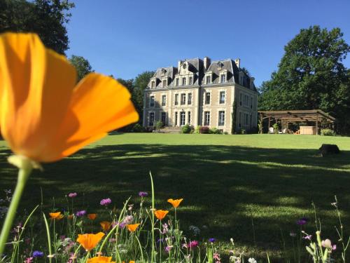 Château des Essards avec piscine et jacuzzi - Chambre d'hôtes - Langeais