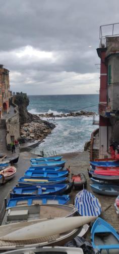CAST AWAY, Riomaggiore (foto 9)