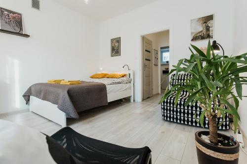 Charming apt Old Town & Jewish District, quiet neighborhood, Cracovie (photo 6)