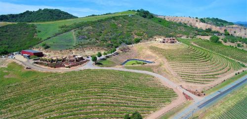 B&B Paso Robles - Sirena Vineyard Resort - 3 Bedroom guest house - Bed and Breakfast Paso Robles