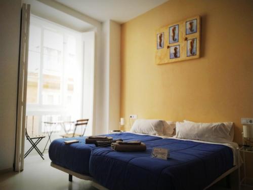 Hostal Casa Nautilus - image 6