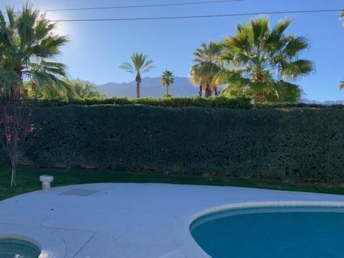 Mid - Century Oasis