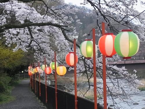 Photo - Hakone Highland Hotel