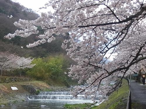 Hakone Highland Hotel