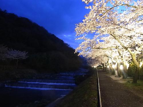 Photo - Hakone Highland Hotel
