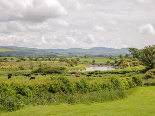 The Byre in نيوتون ستيوارت