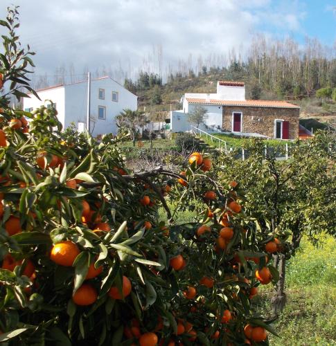  Casas de Campo de Vale de Junco in Envendos