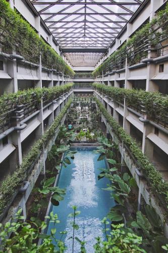 花園, 日惹普拉維塔瑪格林霍斯特精品酒店 (Greenhost Boutique Hotel Prawirotaman) in 日惹