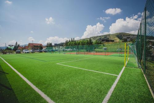 Basekamp Mountain Budget Hotel - image 10