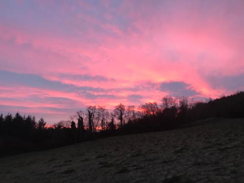 Forest View - Castlewellan