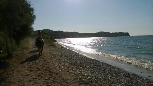 S&C Kosmos Beach Resort - image 9