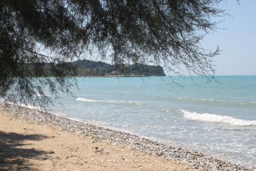 S&C Kosmos Beach Resort - image 10