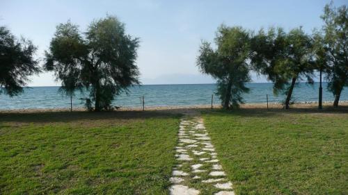 S&C Kosmos Beach Resort - image 11