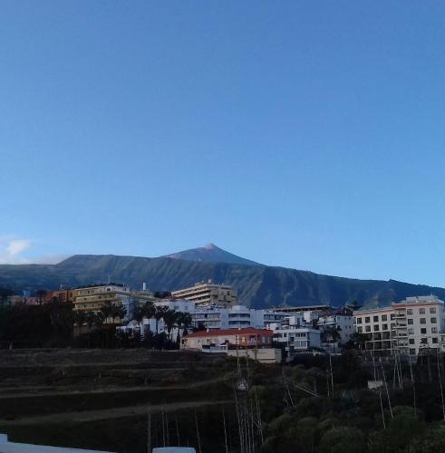 Apartamentos Pez Azul - image 14