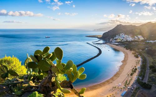 Villa Caleta Golf - image 4