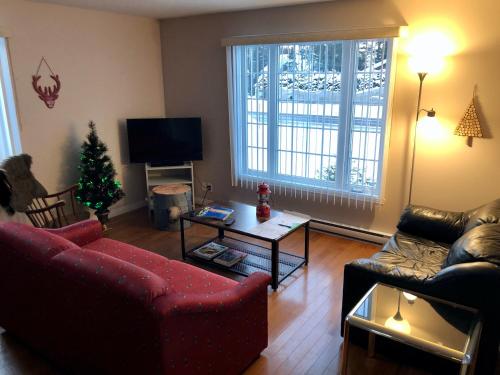 Közös társalgó / TV, Le Chalet de Claude, au pied des Monts-Valin in Saint-David-de-Falardeau (QC)