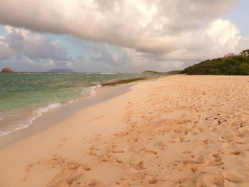 Villa Guadeloupe Saint François Accès Mer Piscine IGUANA BAY - Villa Zagadi