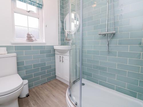 Heron Cottage Ilfracombe - image 13