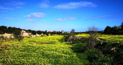 Tara Casa Rural