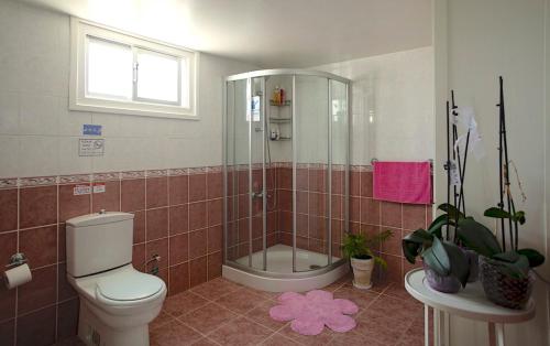 ENTER hostel, Kyrenia (foto 9)