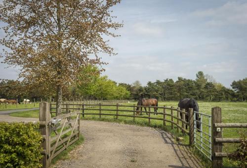 Alysas Cottage - image 3