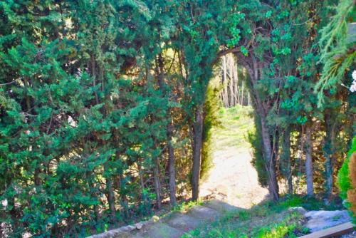  Mas Rosich in Alcover