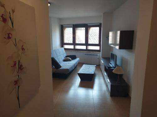 Apartamento 1 habitacion