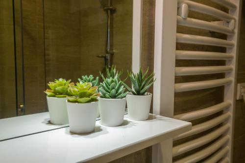 Thomas Residence - image 12