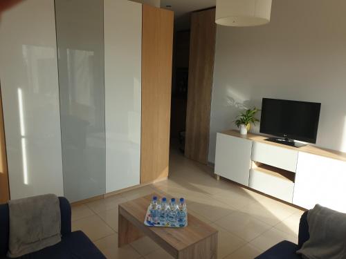 Apartament w zieleni do wynajęcia blisko jeziora