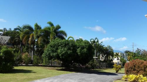 Kert, Manuae House of Birds 1 in St. Kitts