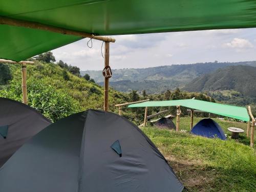 Hostal y Camping Los Girasoles