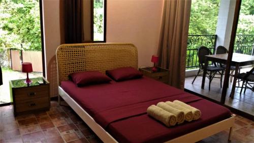 Casa La Guaria in Samara