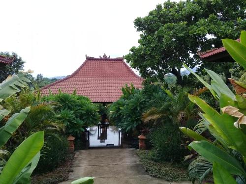 Villa Eliska Sari Sumberkima