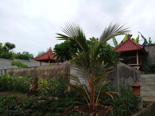 Villa Eliska Sari Sumberkima