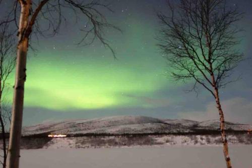 Aurora mökki porealtaalla Lapissa Tenojoen rannassa