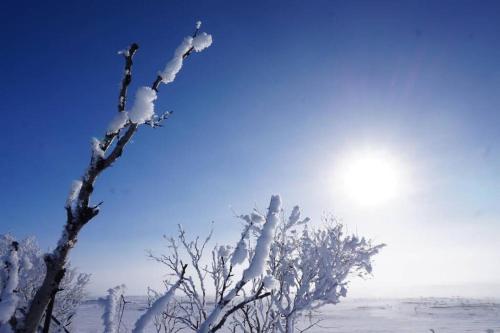 Aurora mökki porealtaalla Lapissa Tenojoen rannassa