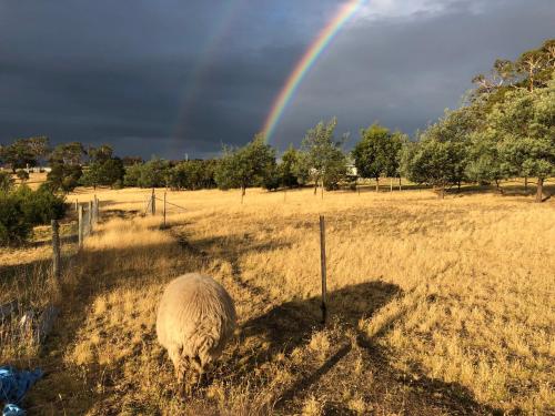 Couples Retreat with Mountain View Near Hobart