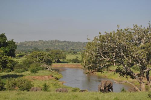 Elephant Rock Luxury Camp Tarangire