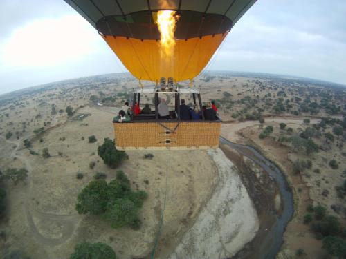 Elephant Rock Luxury Camp Tarangire