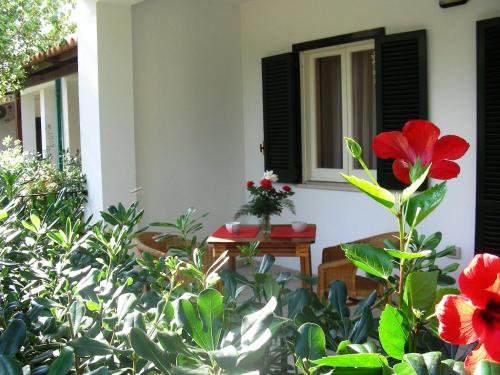 Resort Sciabache, Zambrone (photo 2)
