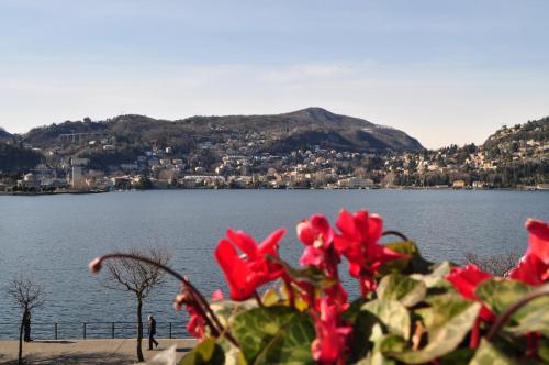 Hotel Marco's - image 12