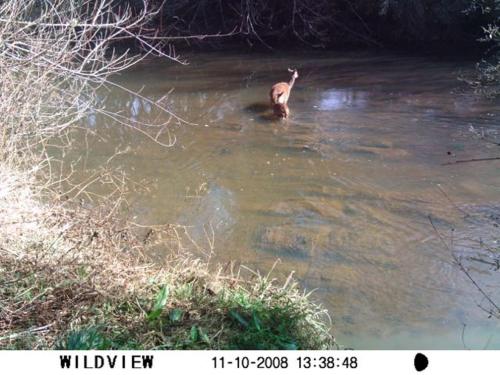 Giant's View Village Giant's View Village