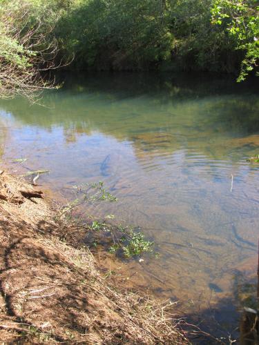 Giant's View Village Giant's View Village