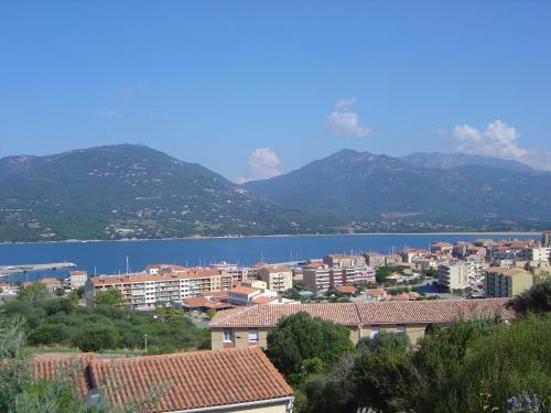 Mimosa gîte à louer Propriano